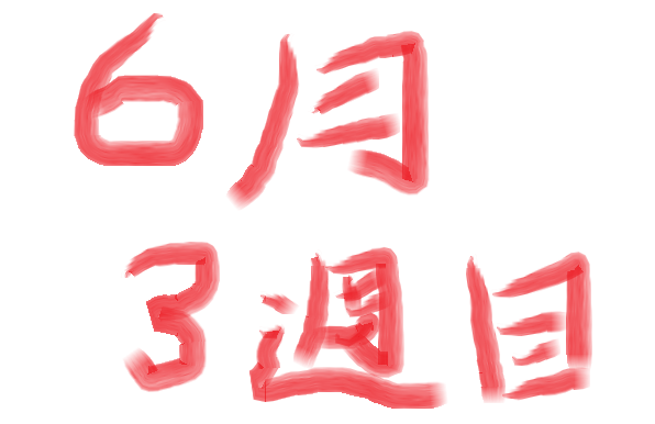 戒めにしないと（2026年6月3週目収支）